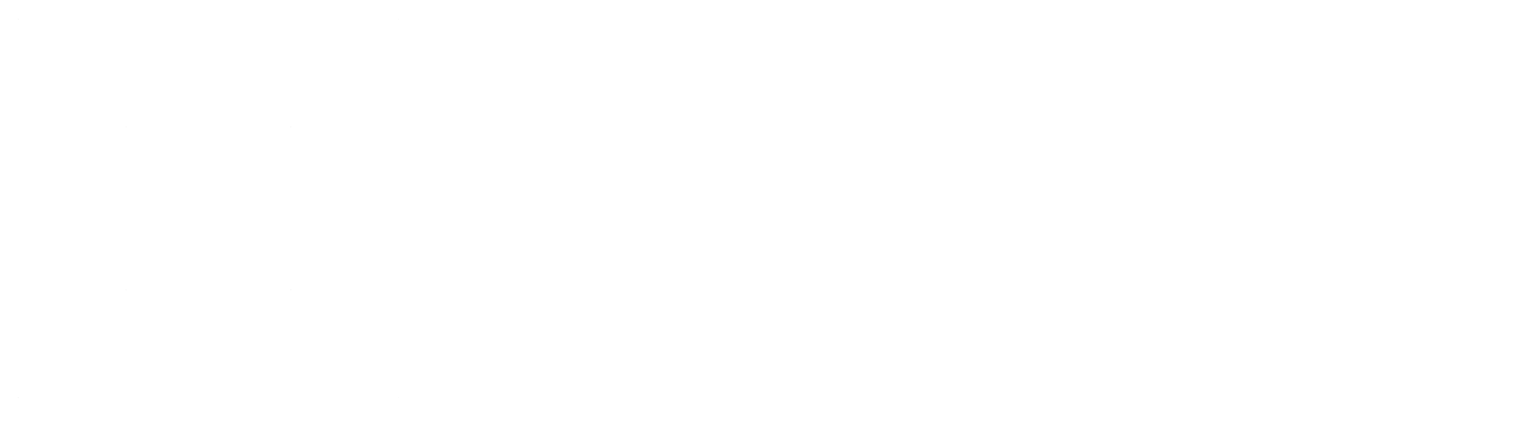Black Zeppelin